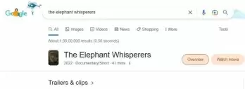 Google searches for 'The Elephant Whisperers' skyrocketed 8,164% after Oscar win